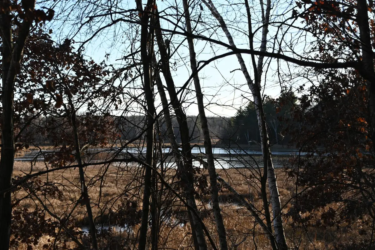 TBD Overland Drive, Browerville, MN 56438 - Image #1