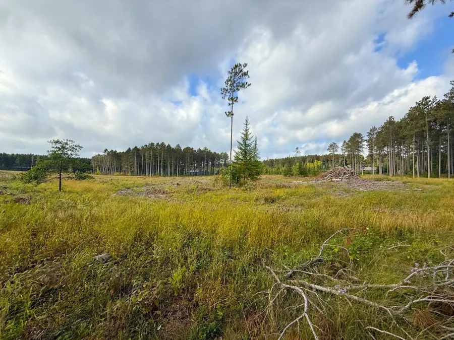 xxx County Road 119, Nevis, MN 56467 - #2