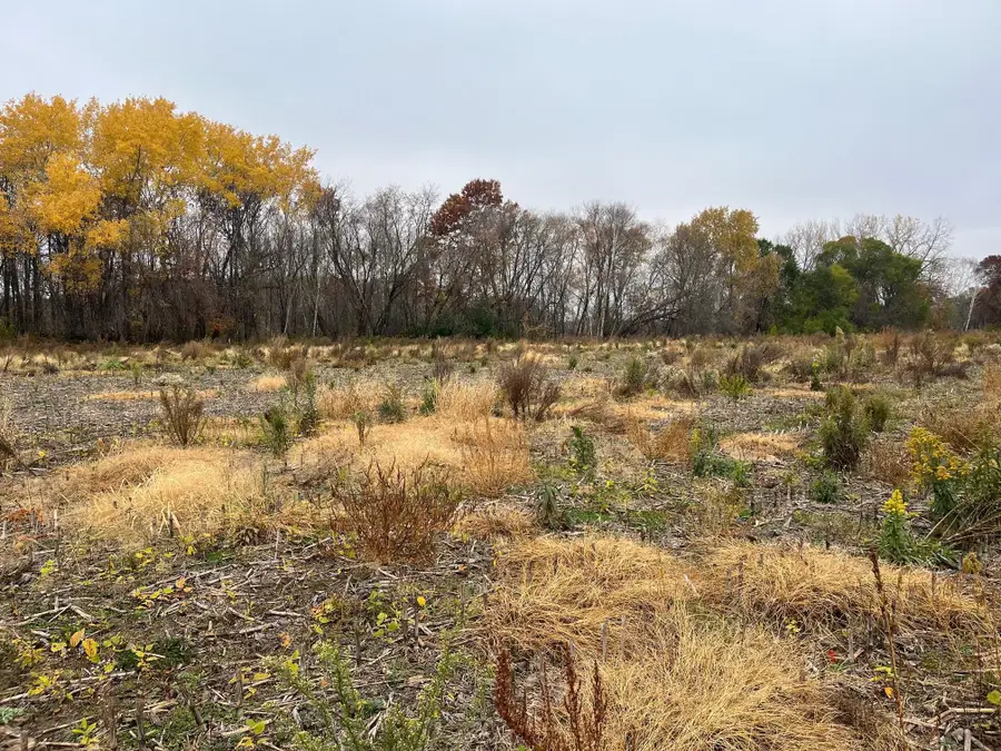 TBD (Lot 1) Brunswick Road, Stanchfield, MN 55080 - #2