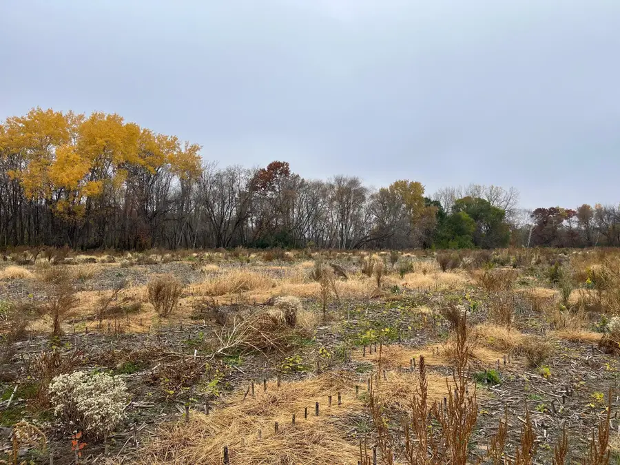 TBD (Lot 1) Brunswick Road, Stanchfield, MN 55080 - #3