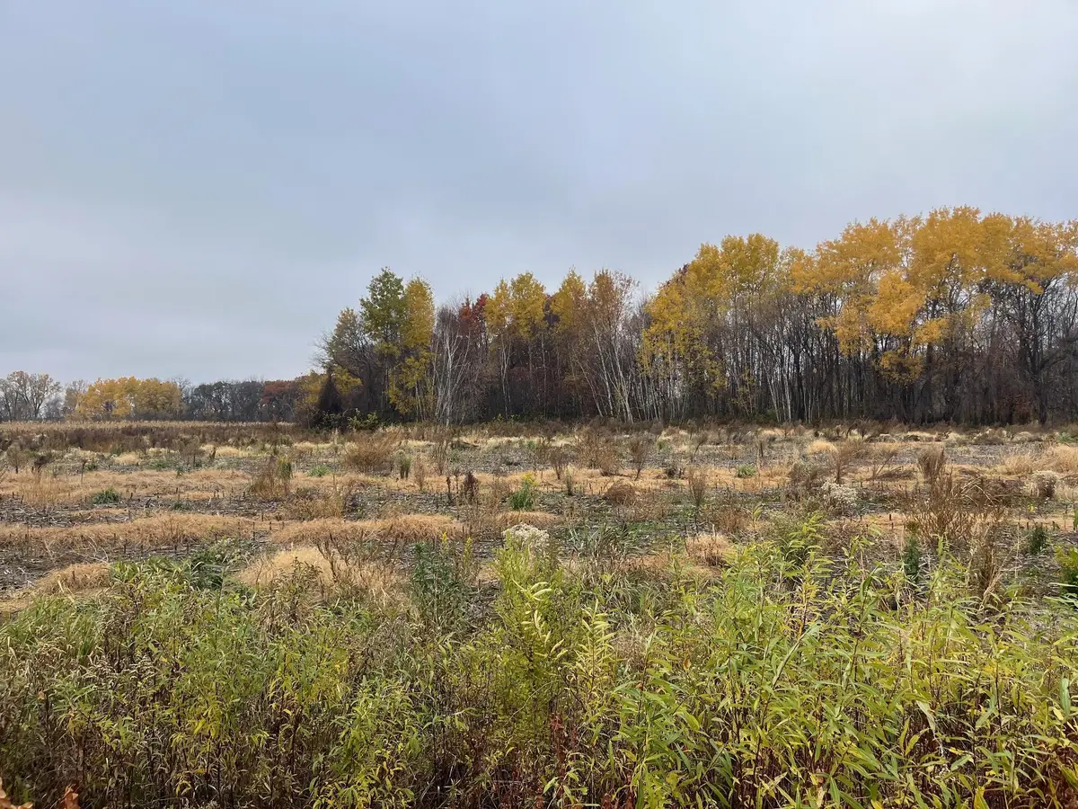 TBD (Lot 2) Brunswick Road, Stanchfield, MN 55080 - #1