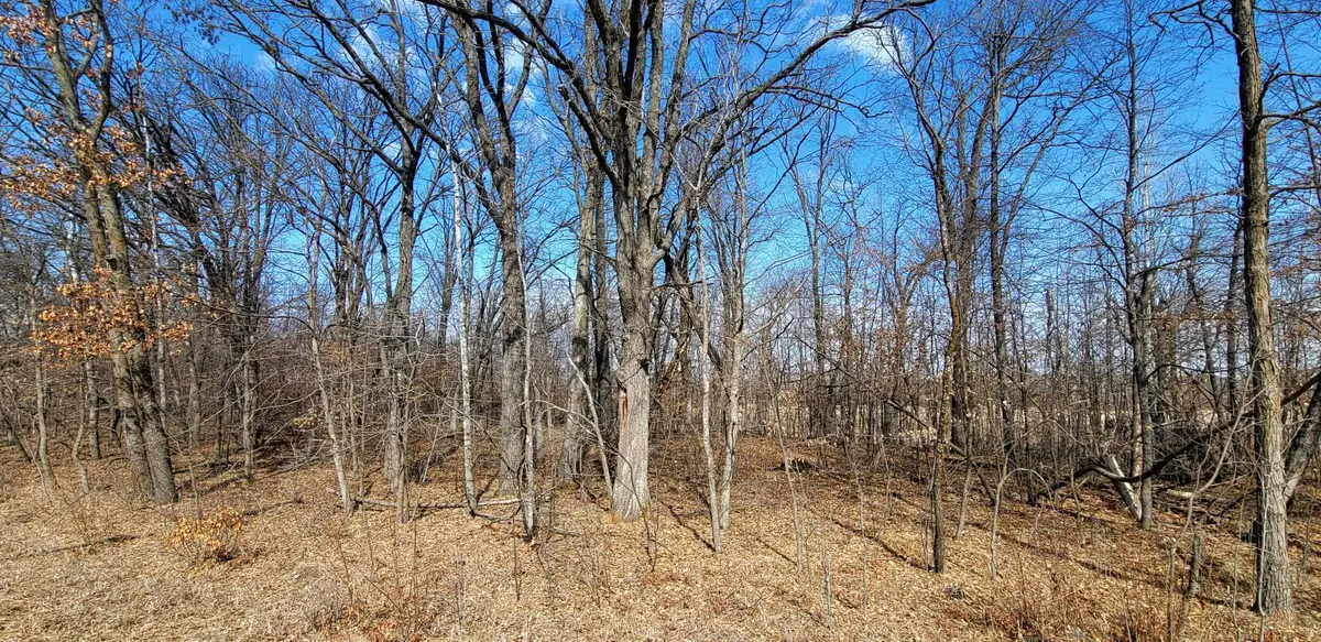 514XX Leaf River Road Tract C, Ottertail, MN 56571 - #1