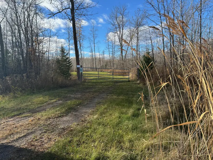 TBDxx State Hwy 65, Jacobson, MN 55752 - Image #3