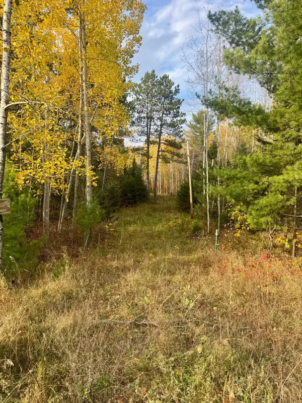 14 Acres State Highway 200, Jacobson, MN 55752