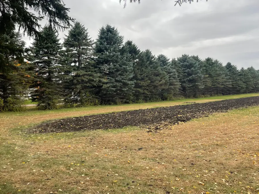 320 Elm Street, Tracy, MN 56175 - Image #3