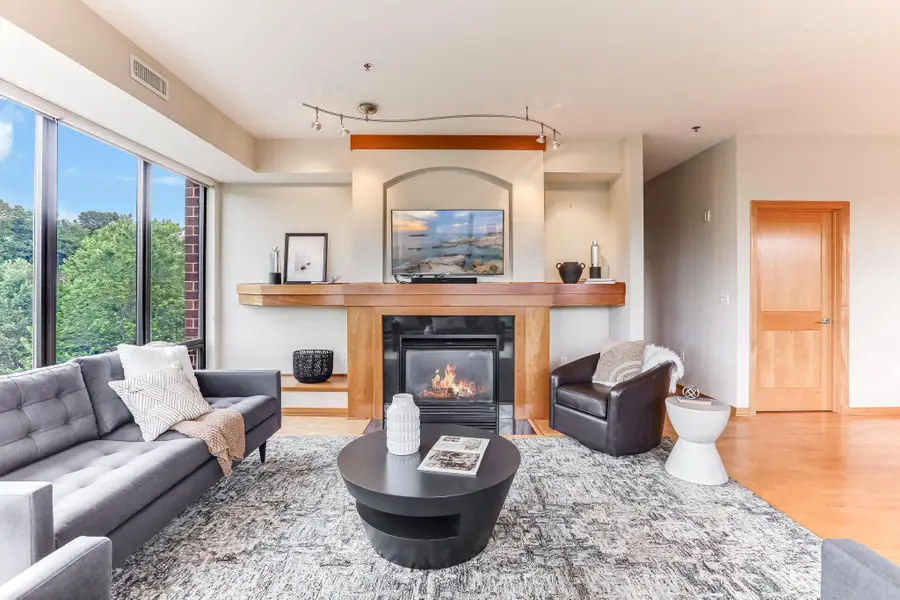 312 Spring Street #309, Saint Paul, MN 55102 - #2