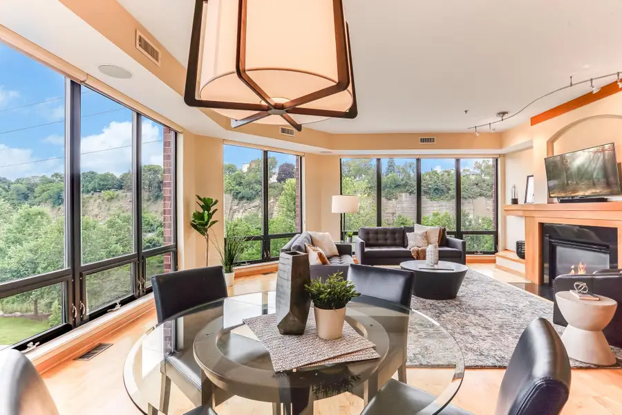 312 Spring Street #309, Saint Paul, MN 55102 - #3