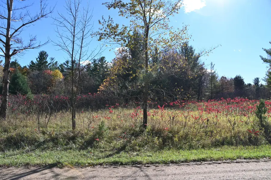 TBD Pike Court, Browerville, MN 56438 - Image #2