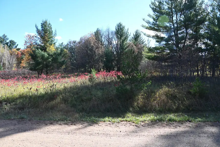 TBD Pike Court, Browerville, MN 56438 - Image #3