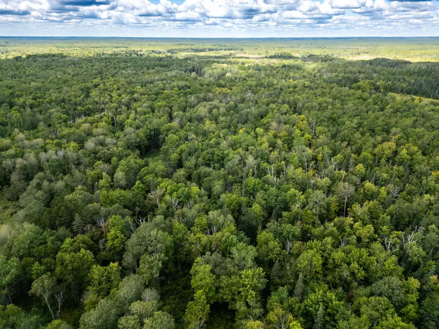 48029 110th Place, Tamarack, MN 55787 - #2