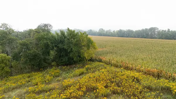 TBD (Lot  2) Goat Back Road, Pepin, WI 54759