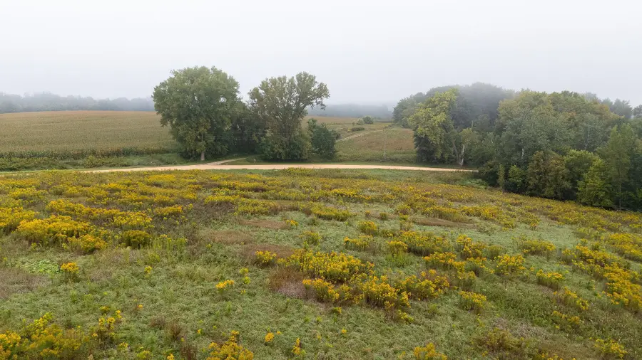 TBD (Lot 3) Goat Back Road, Pepin, WI 54759 - Image #3