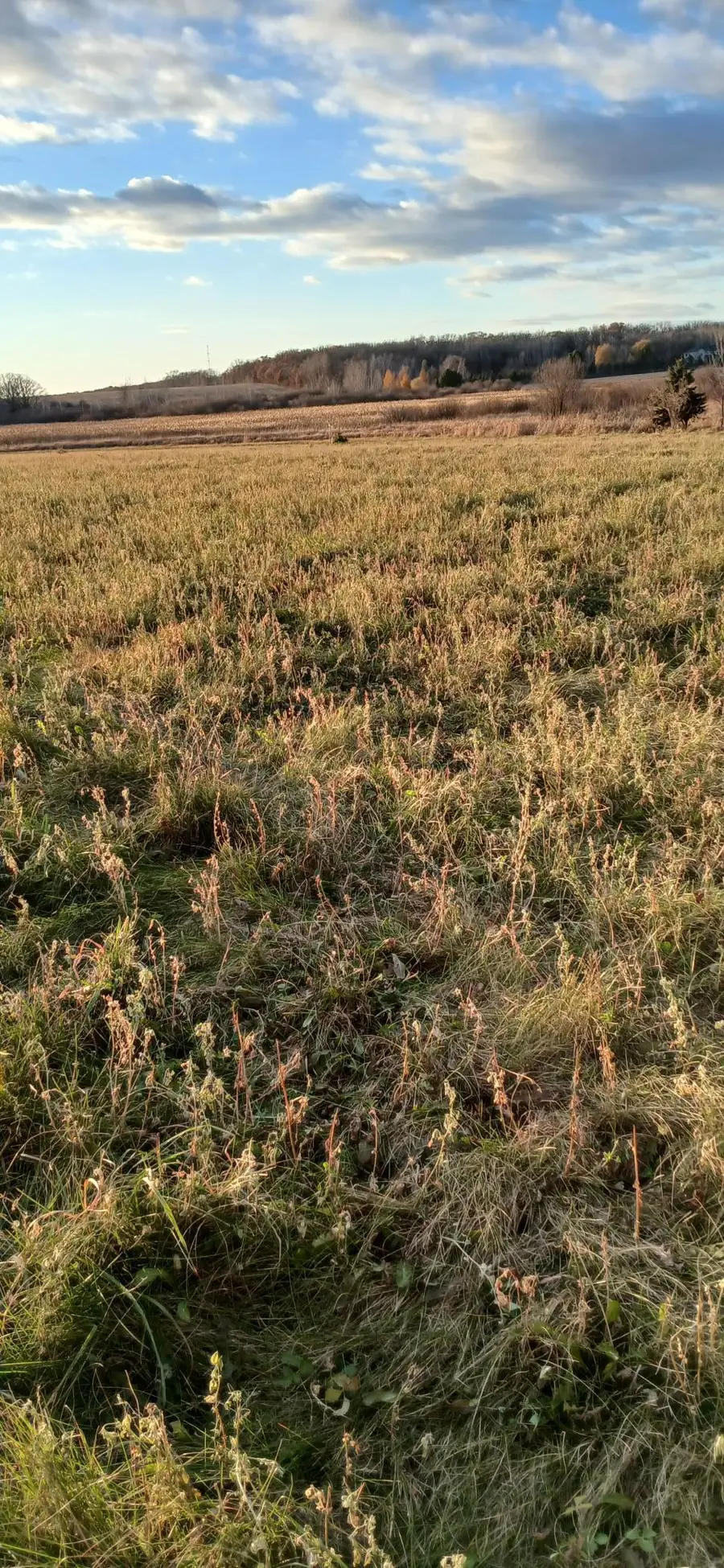 55xx Mayhew Lake Rd Ne, Sauk Rapids, MN 56379 - Image #3