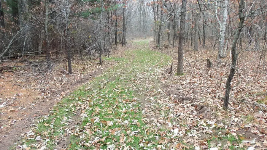 Lot 3 East River Rd, Grantsburg, WI 54840 - Image #3