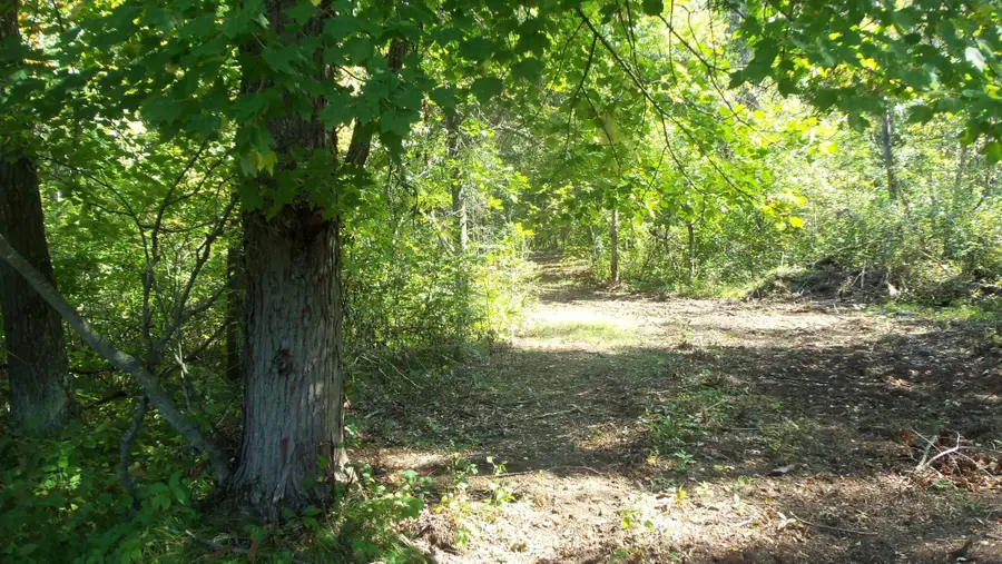 Lot 4 East River Rd, Grantsburg, WI 54840 - Image #3