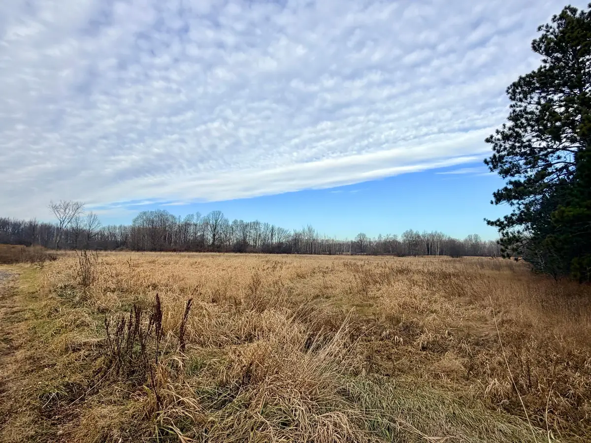 XX Forest Boulevard, Rush City, MN 55069 - #1