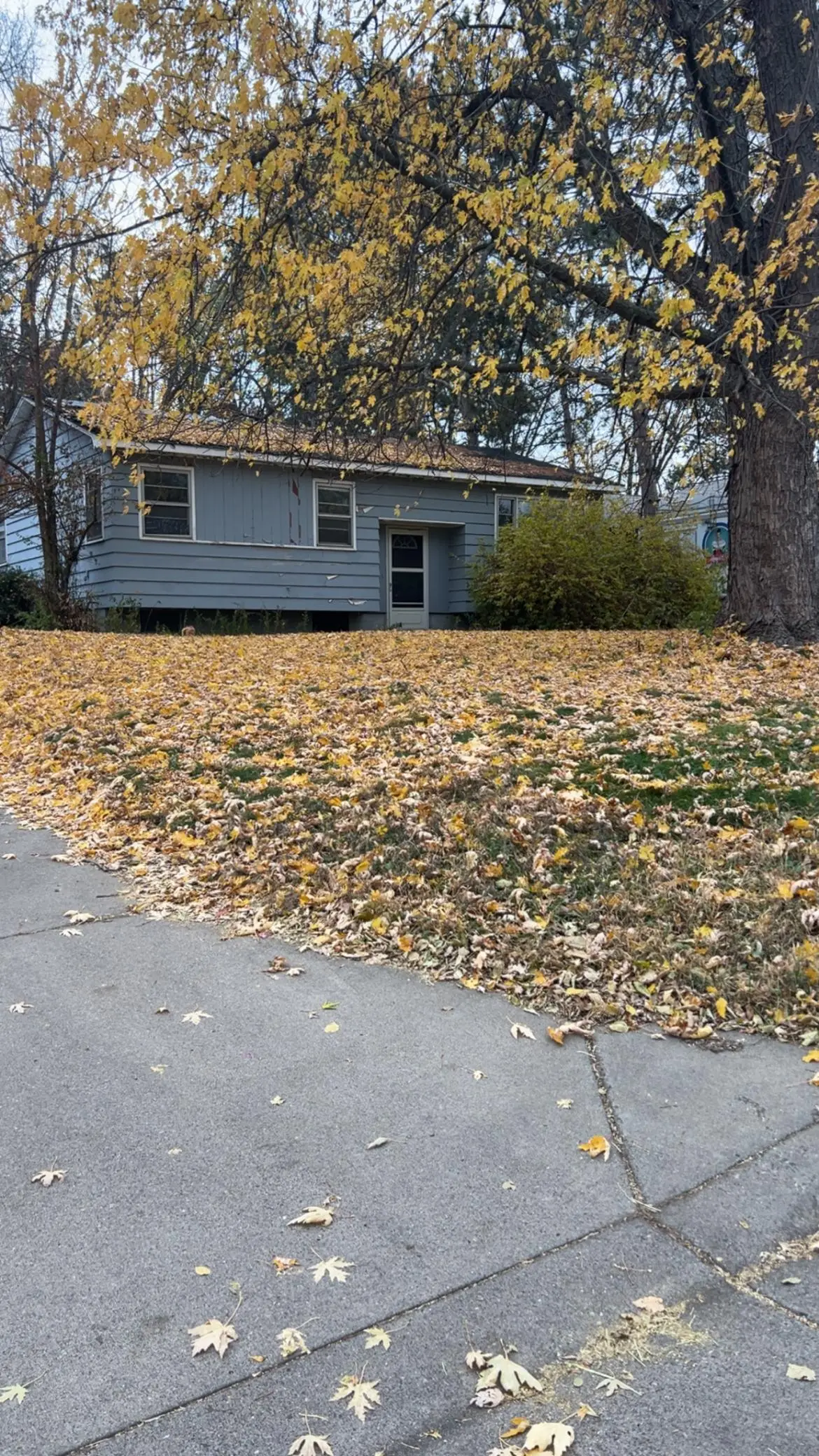 1444 Ames Avenue E, Saint Paul, MN 55106 - Image #1