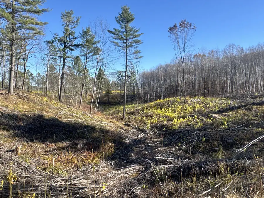 TBD N Larsen Road, Hayward, WI 54843 - Image #2