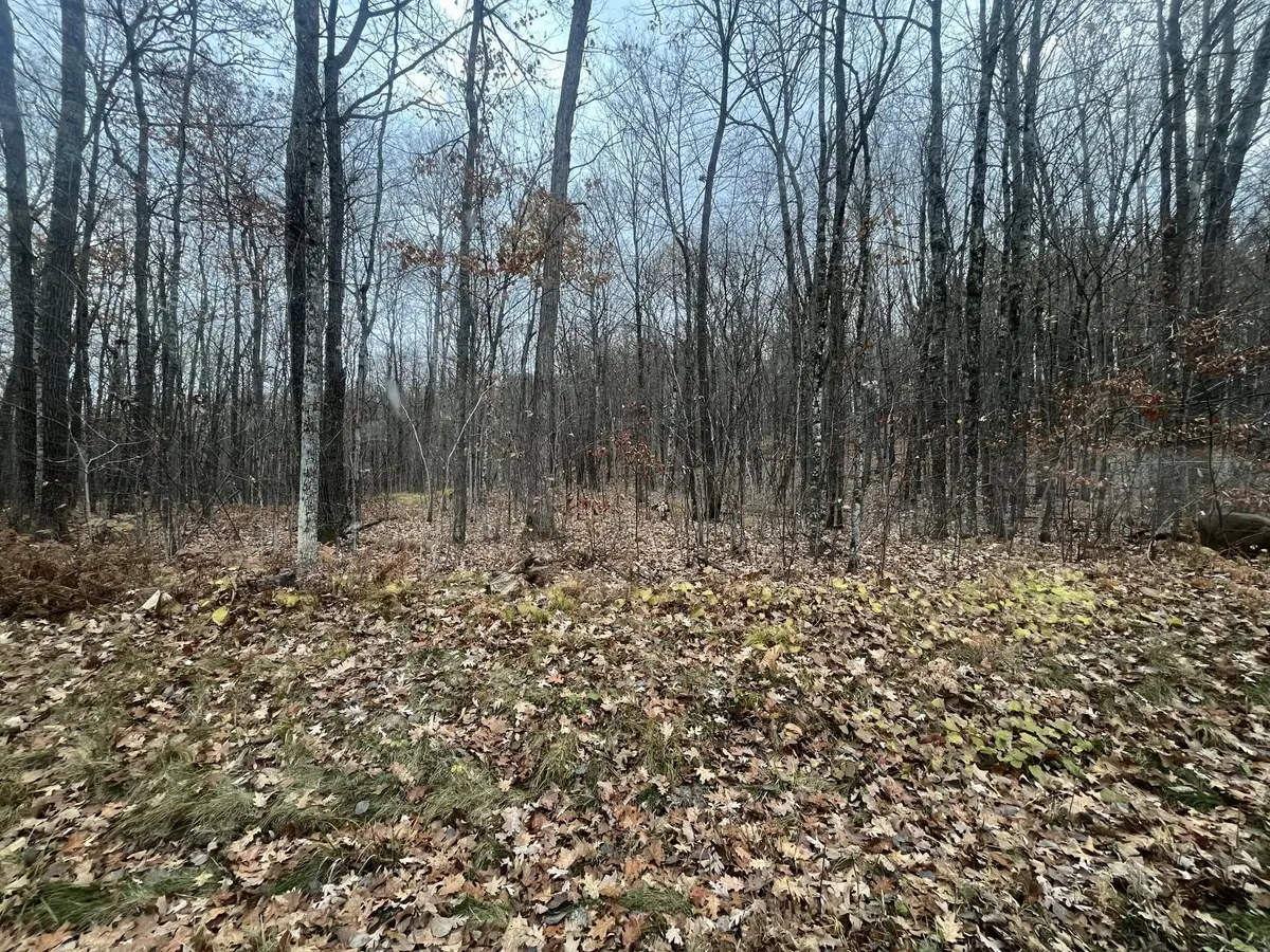 TBD Ham Lake Road, Stone Lake, WI 54876 - Image #1