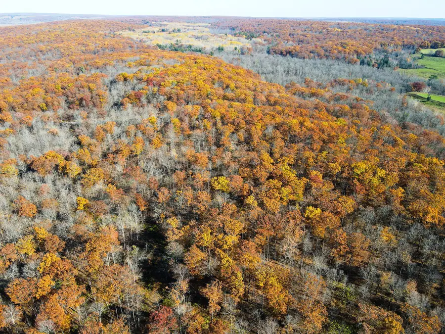 Lot 5 Breakneck Road, Birchwood, WI 54817 - Image #3