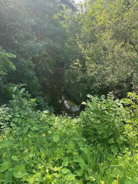 3517 Douglas Drive N, Crystal, MN 55422 - #2