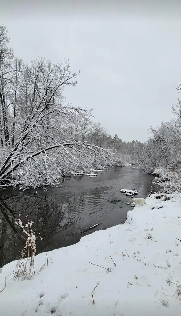 84335 Jack Pine Lane, Sturgeon Lake, MN 55783