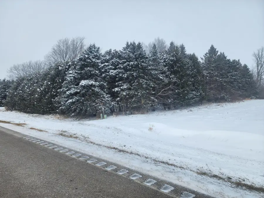 23466 710th Street, Hayfield, MN 55940 - #3