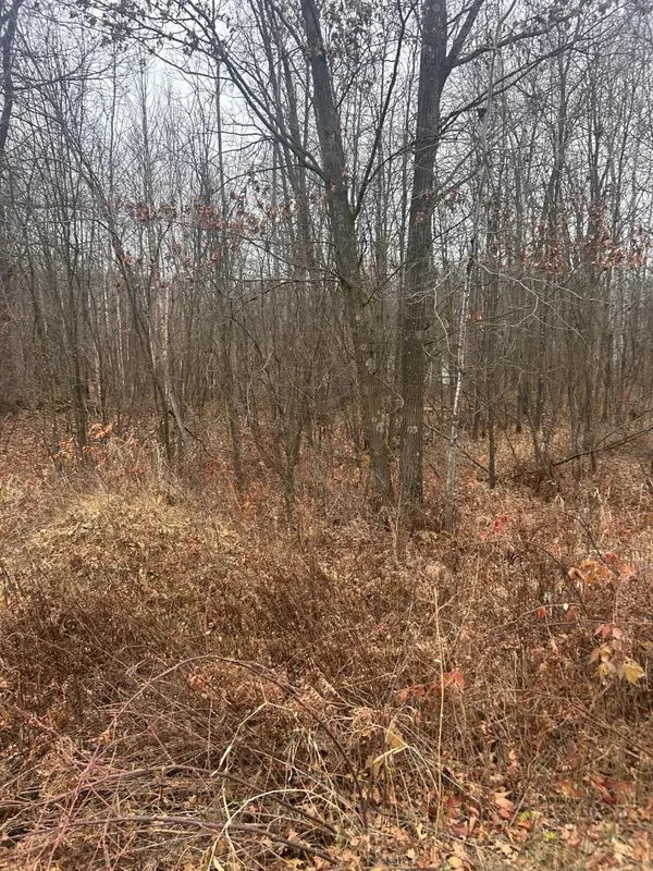 TBD Lake Camile, Randall, MN 56475