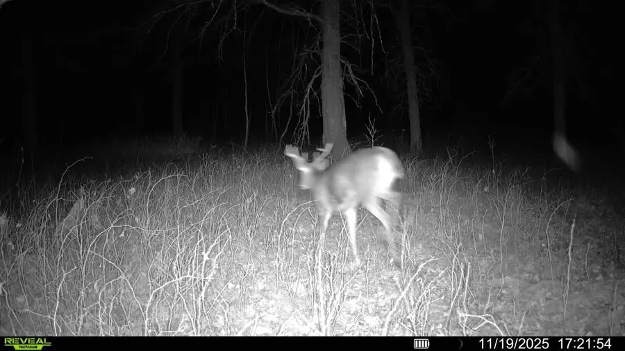 TBD 294th Street, Sebeka, MN 56477 - Image #3