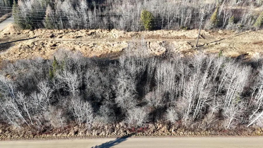 Parcel A Parameter Road, Deer River, MN 56636 - Image #2