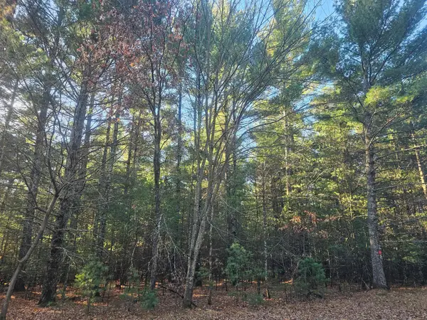 xxx Harmon Avenue E, Grantsburg, WI 54840