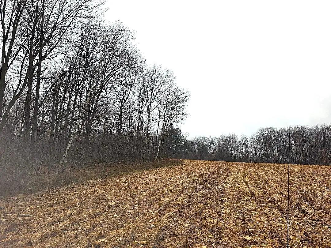 1141 12th Ave., Barron, WI 54812 - Image #1