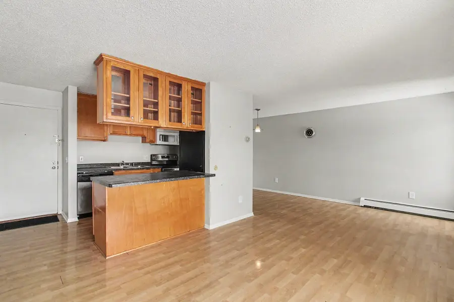 4110 Rahn Road #201, Eagan, MN 55122 - #3