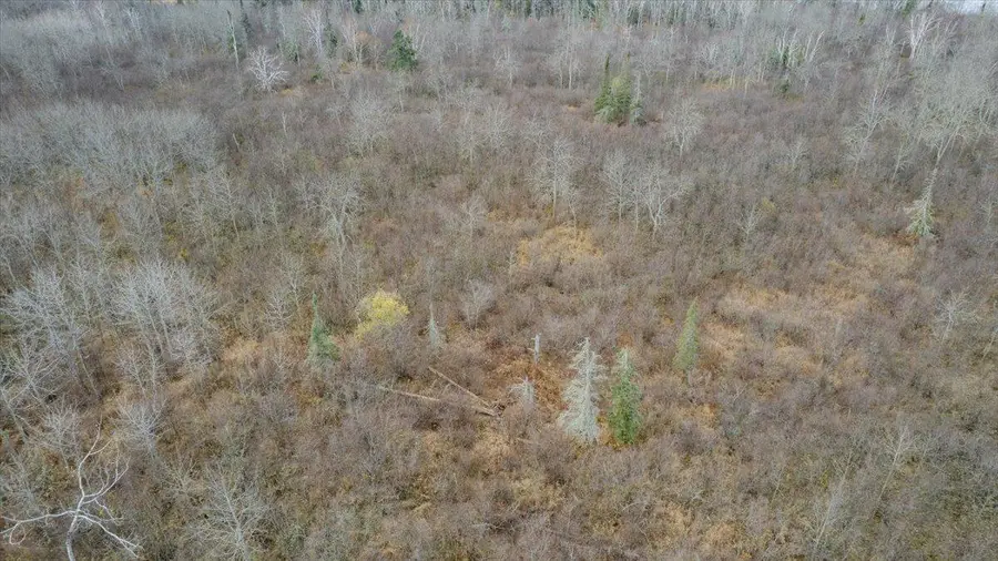 8301 Camp Amnicon Rd Lot 2, South Range, WI 54874 - Image #3