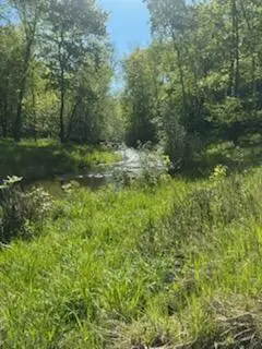 15370 Mallard, Brook Park, MN 55007 - Image #3