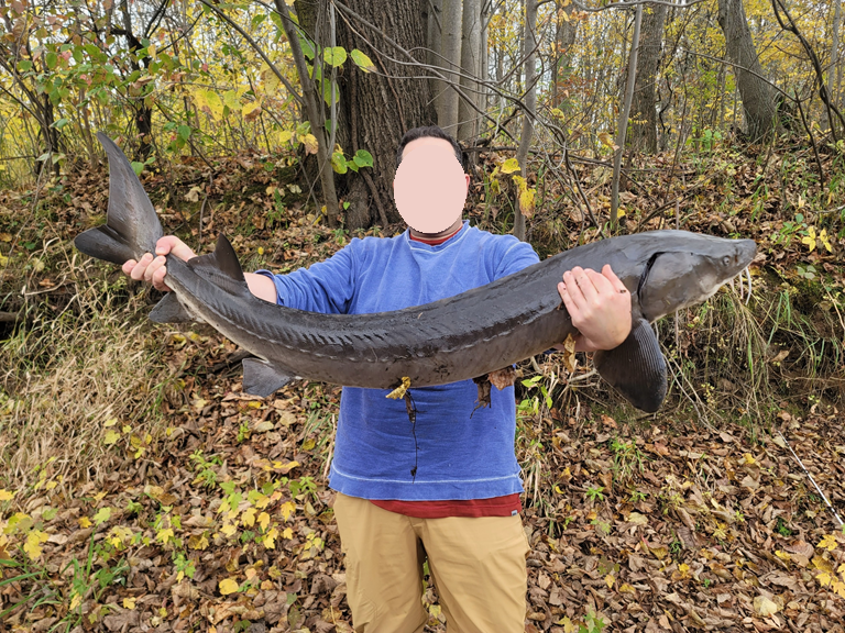 15xxx Lofty Pines Road, Pine City, MN 55063 - #3