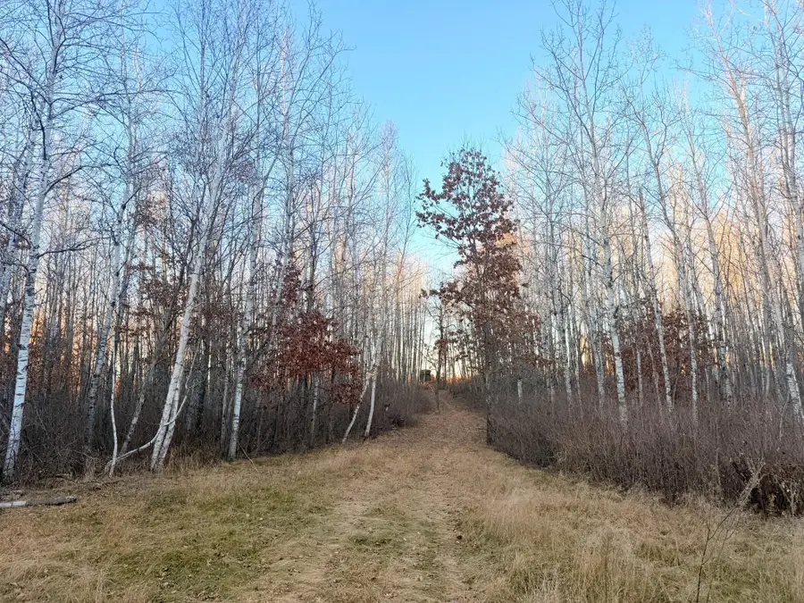 1287 Trinity Pines Lane Nw, Backus, MN 56435 - Image #2