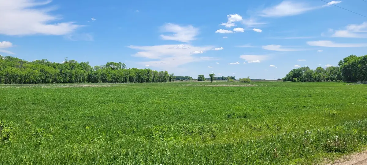 XXX 455th Avenue, Arlington, MN 55307 - Image #1