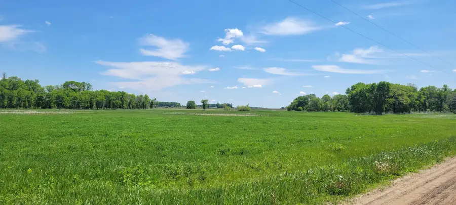 XXX 455th Avenue, Arlington, MN 55307 - Image #3