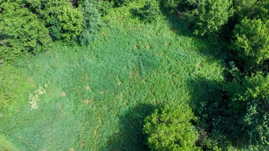 TBD 169th Avenue Ne, Ham Lake, MN 55304 - Image #2