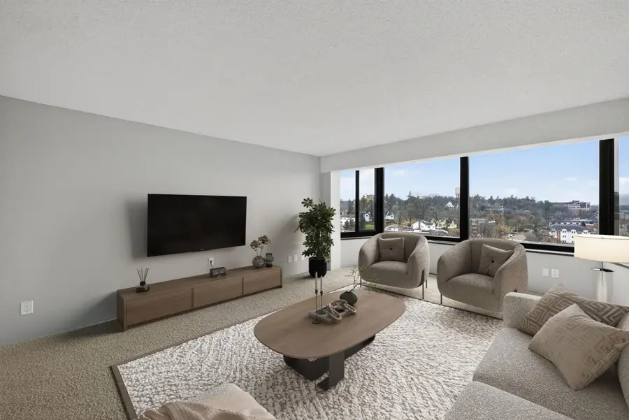 207 5th Avenue Sw #902, Rochester, MN 55902 - Image #3