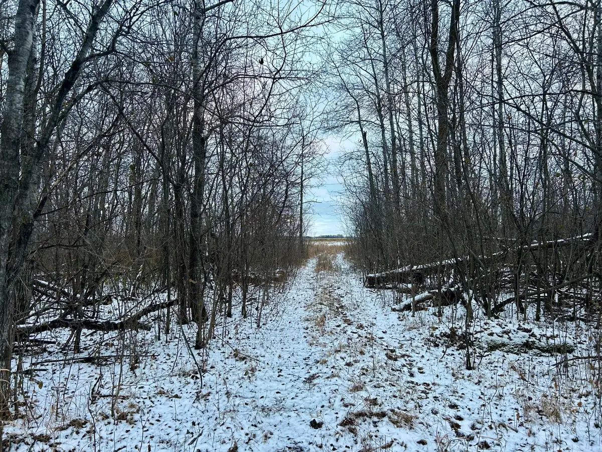 TBD 160th Street Ne, Thief River Falls, MN 56701 - Image #1