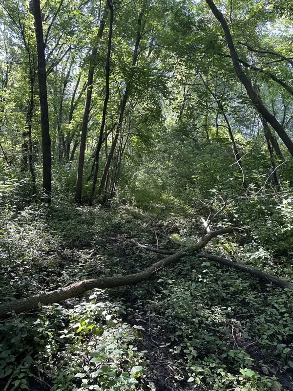 XXX 50th Street Se, Delano, MN 55313