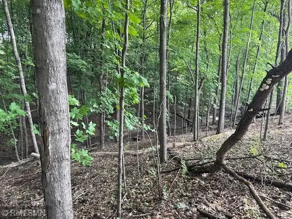 10492 Kalland Lane Ne, Hanover, MN 55341