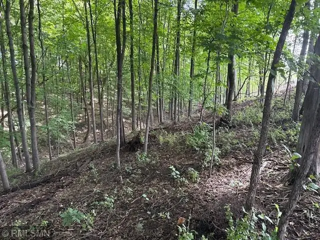 10492 Kalland Lane Ne, Hanover, MN 55341 - #3