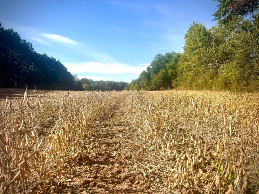 Parcel A 19.84AC 87th St Se, Becker, MN 55308 - Image #3