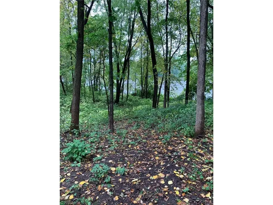 TBD Shoreline Drive, Little Falls, MN 56345 - #2