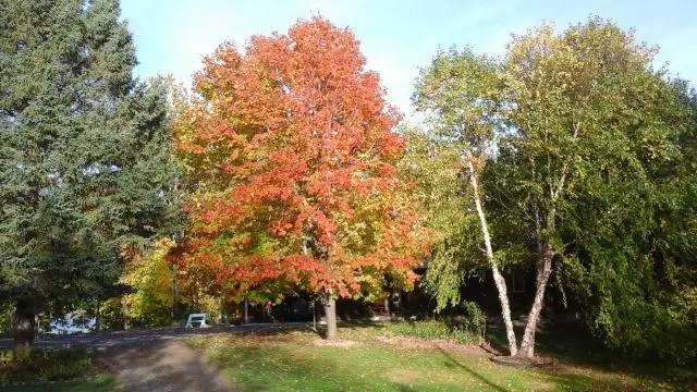 33530 446th Place, Aitkin, MN 56431 - #3