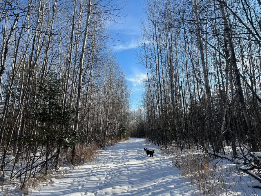 2194 Yoki Road N, Zim, MN 55738 - Image #2