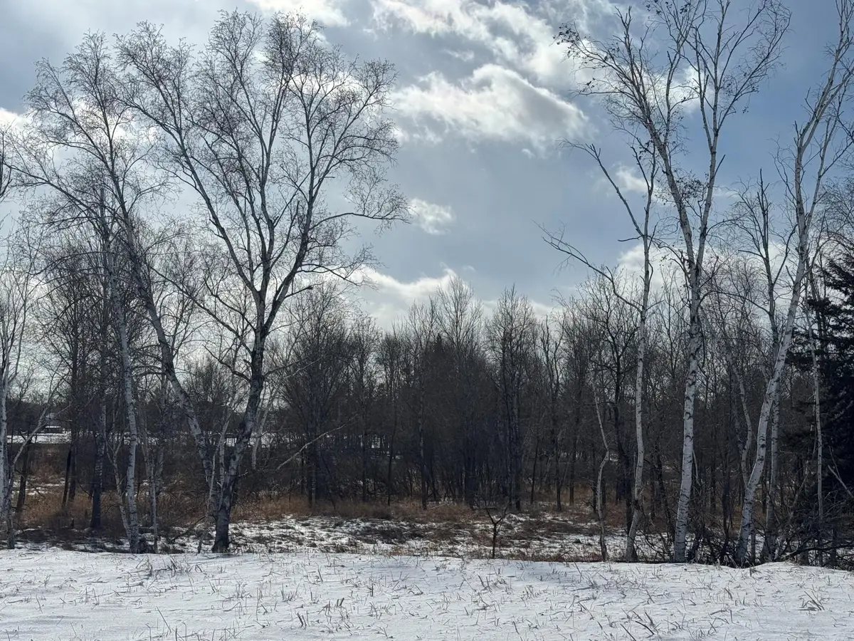 2458 179th Avenue Ne, Ham Lake, MN 55304 - #1